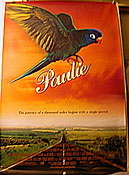 Paulie (1998)